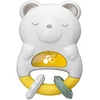 Image de Veilleuse Ourson Day&Night Multicolore