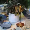 Image de zafferano Pina Pro Lampe de table sans fil, LED, LD2650R3,