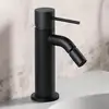Image de Teorema LAB Robinet de bidet, avec structure en losange élégante, avec garniture, 9JB01BB,