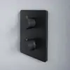 Image de Teorema LAB - Mitigeur thermostatique encastré, 73C10BB,