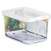 Image de CARE+PROTECT Boîte Pour Aliments - Parfaitement Empilable - Organisateur de Réfrigérateur - Protège les Aliments de L'humidité - Garde les Aliments Frais Plus Longtemps - Capacité 2,15 L