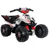 Image de Injusa Véhicule Montable Mb Quad The Beast 12v