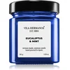 Image de Vila Hermanos Apothecary Cobalt Blue Eucalyptus & Mint bougie parfumée 150 g