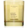Image de Vila Hermanos Sunlit Mimosa bougie parfumée 200 g