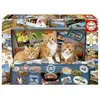 Image de Educa 200 Chatons Voyageurs