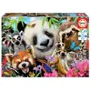 Image de Educa 300 Amis Aux Yeux Noirs Selfie Puzzle