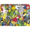 Image de Educa - Perroquets | 500 pièces Puzzle. Mesure : 48 x 34 cm | À partir de 11 Ans (19547)