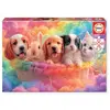 Image de Educa Puzzle De Panier Friends 300 Pièces