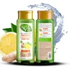 Image de NOVA ENGEL Eco Purificante Jengibre Y Limã³N Champãº 300 Ml