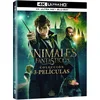 Image de Animales Fantásticos - Colección 3 Películas Ultra HD - BD