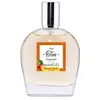 Image de FRUIT TEA COLLECTION MANGO edt vapo 100 ml