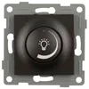Image de S-EMPOT.ONLEX GRAFITO REGULA.CONMUT.LED