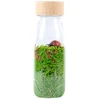 Image de Bouteille sensorielle Sound Ladybirds