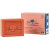Image de Dr. Tree | Shampooing et après-shampooing solides | Pour Cheveux Fragiles/Tendance à Tomber | ECOCERT | 75gr
