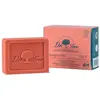 Image de Dr. Tree - SHAMPOING SOLIDE forteresse 2 en 1 Shampoing 75 g unisex