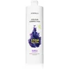 Image de Montibello Colour Correction Stop Yellow shampoing pour cheveux blonds et décolorés anti-jaunissement 1000 ml