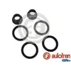 Image de AUTOFREN SEINSA Kit de réparation, maître-cylindre de frein pour PEUGEOT: 307 & CITROËN: C4 (Ref: D1726)