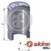 Image de AUTOFREN SEINSA Piston, étrier de frein pour KIA: Carens, Sportage & HYUNDAI: Tucson (Ref: D025626)