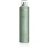 Image de Revlon Professional - ELEVATOR Laque cheveux 300 ml female