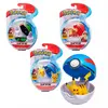 Image de Pokemon Clip Et Figurine Assorti