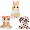 Image de Adoptanimals Sauvetage De Nounours