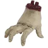 Image de FIESTAS GUIRCA- Accessoires de déguisement, 26553, Multicolore