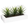 Image de Well Home - Centre de Table décoratif avec 3 Plantes Aloe Vera H.17 cm