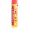 Image de Burt’s Bees Lip Balm Pink Grapefruit baume rafraîchissant lèvres 4.25 g