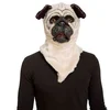 Image de Mom Avec Masque De Bouledogue Mobile à Mâchoire