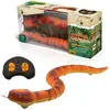 Image de Tachan Serpent Rc