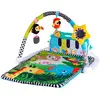 Image de Tachan Tapis D´Éveil Musical 4 En 1