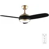 Image de Cecotec - Ventilateur de Plafond avec Lumière EnergySilence Aero 4265 GoldBlack - 65 W, Diamètre 106 cm, Télécommande, Lampe LED 18 W et Minuterie, 3 Vitesses et 3 Pales, Design Fonctionnel