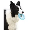 Image de InnovaGoods - Jouet à Mordre Congelable 2 en 1 pour Chiens, Rafraîchissant, avec Rainure pour Récompenses, Dentition Saine, Bleu, Caoutchouc Thermoplastique