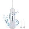 Image de TM Electron tmbh027   hydropulseur Portable