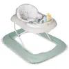 Image de Marcheur Basic Plus Vert