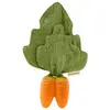 Image de Oli&carol Jouet De Dentition Cathy The Carrot Mini Doudou