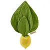 Image de Oli&carol Jouet De Dentition Lemon Mini Doudou