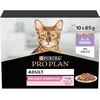 Image de PURINA PRO PLAN | DELICATE DIGESTION | Aliment Complet pour Chat Adulte | Aide à favoriser un système digestif sain | Effilés en Sauce| A la Dinde| Portion Individuelle | 10x85g