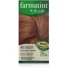 Image de Farmatint Gel 7R Rubio Cobrizo. Tinte permanente. Cabello natural y color duradero. Sin amoníaco ni parabenes ni parafinas ni siliconas. Coloración natural para el pelo fácil de aplicar.