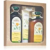Image de Green Pharmacy Herbal Care coffret cadeau visage, corps et cheveux