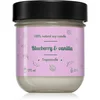 Image de Tropicandle Blueberry & Vanilla bougie parfumée 170 ml