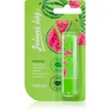 Image de Regina Jelení l j Watermelon pommade 4.5 g