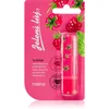 Image de Regina Jelení l j Raspberry pommade arôme framboise 4.5 g
