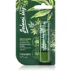 Image de Regina Jelení l j Cannabis pommade à l'huile de chanvre 4.5 g