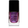 Image de Gabriella Salvete Longlasting Enamel vernis à ongles effet holographique teinte 11 Juicy Plum 11 ml