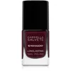 Image de Gabriella Salvete Longlasting Enamel vernis à ongles longue tenue brillance intense teinte 19 Mahagony 11 ml
