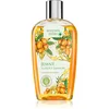Image de Bohemia Gifts & Cosmetics Bohemia Herbs Argan Oil shampoing 250 ml