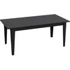 Image de CONCEPT1 Apois noir 180 x 90 x h76,8 875ZNA2907
