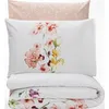Image de CONCEPT1 Emma v2 240x220cm + 2 taies 60x60 saumon 129CTN64416