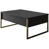 Image de CONCEPT1 Luxe anthracite or 90 x 60 x h40cm 618BLY1121